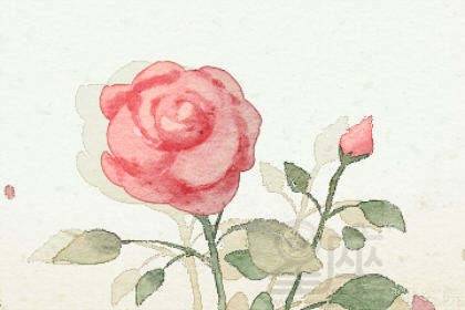 做梦梦到花圈什么预兆：做梦梦到花圈，是什么预兆？解密梦境中的花圈象征