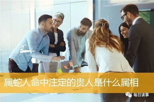 属蛇人命中注定的丈夫:属蛇人命中注定的丈夫,命理暗示的三大特质与相遇时机 属蛇人命中注定的丈夫:属蛇人命中注定的丈夫,命理暗示的三大特质与相遇时机