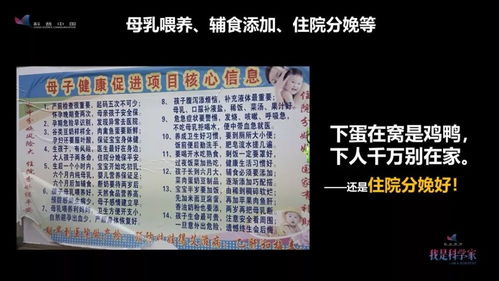 十二生肖相克顺口溜：十二生肖相克顺口溜，速记指南，趣味科普助你人际运程