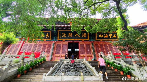 武汉宝通禅寺如何求姻缘:武汉宝通禅寺求姻缘指南 武汉宝通禅寺如何求姻缘:武汉宝通禅寺求姻缘指南