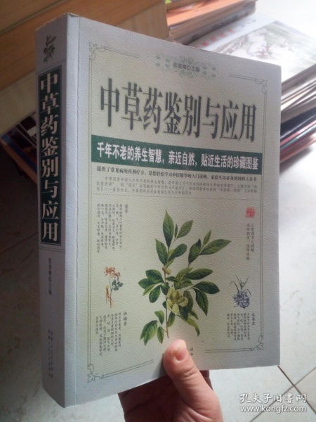 四十种常用中药材:四十种常用中药材图鉴,千年智慧,养生之宝 四十种常用中药材:四十种常用中药材图鉴,千年智慧,养生之宝