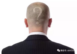 头发怎么长得快：头发怎么长得快？科学方法与误区解析，告别脱发焦虑！