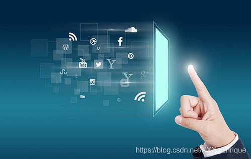 免费高匿代理ip：免费高匿代理IP，匿名上网的利器还是陷阱？