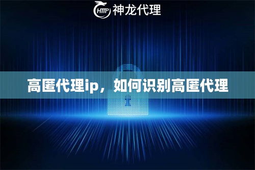 免费高匿代理ip：免费高匿代理IP，匿名上网的利器还是陷阱？