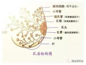 乳腺结节最佳消除方法：告别乳腺结节烦恼，这些方法最有效！
