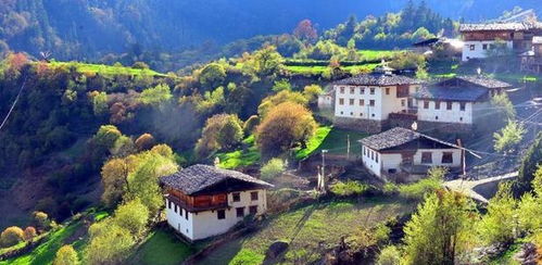 吉日2024年适合结婚的:2024年适合结婚的吉日良辰,天作之合共谱幸福 吉日2024年适合结婚的:2024年适合结婚的吉日良辰,天作之合共谱幸福