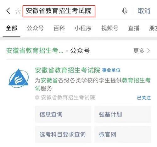 高考信息查询（高考信息查询官网）