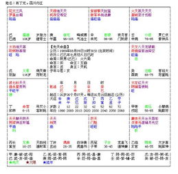 紫微命盘测另一半事业：紫微命盘测另一半事业，从星曜组合看伴侣的职场运势与性格特质