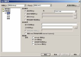 asp格式是什么意思：ASP格式解析，全面了解服务器端脚本技术