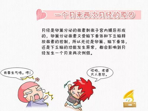 一个月来两次月经：一个月来两次月经，原因、应对与就医指南
