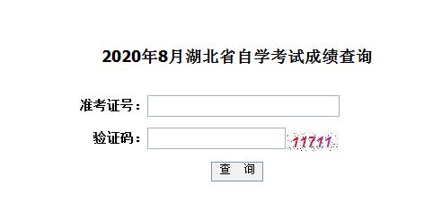 河南省教育考试院网站（河南省会考成绩查询入口）