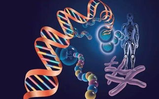 正常人一般几两命：命理视角下的几两命，传统文化与现代医学的寿命密码解读