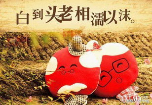 2024会生重病的生肖：2024年哪些生肖需警惕健康危机？三大生肖重病预警，提前预防是关键！