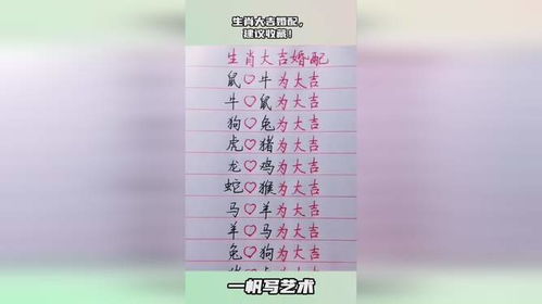 生肖婚配：生肖婚配，千年智慧与现代科学的爱情密码