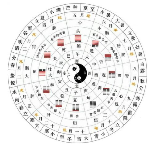 十二生肖配对详情：十二生肖配对全解析，传统智慧与科学视角下的爱情密码