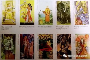 奈妃特芮塔罗牌是维特嘛：奈妃特芮塔罗牌是维特嘛？神秘符号背后的塔罗密码