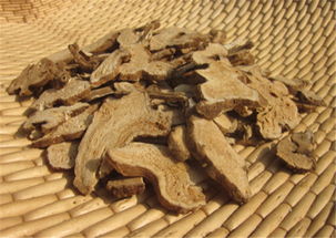 白术的功效与作用及禁忌:白术的功效与作用及禁忌,中医宝库中的健脾良药