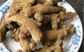 白术的功效与作用及禁忌：白术的功效与作用及禁忌，中医宝库中的健脾良药