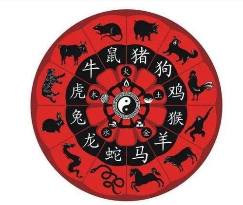 十二生肖今天运势查询：十二生肖今日运势全解析，你的运势会偏向哪一步？