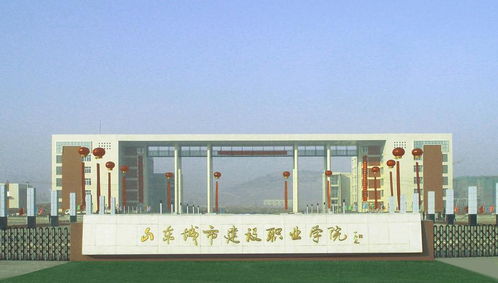 山东最好的公办职业学校（山东公办的职业院校）
