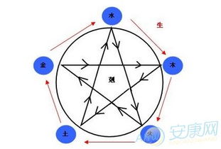 生辰八字看五行属性：生辰八字与五行属性，解码命理的底层逻辑与实用应用