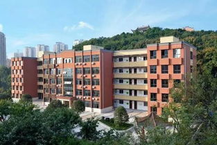 全国师范类大学排名（全国师范类大学排名一览表最新）