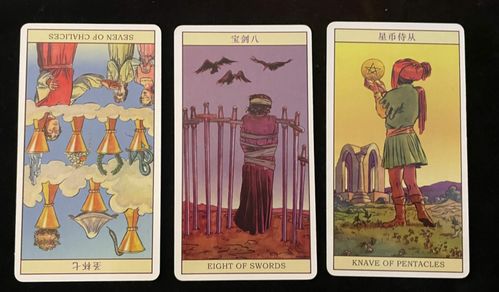 塔罗牌他现在过的怎么样：塔罗牌，解读他现在过的怎么样—神秘学视角下的情感与生活探索