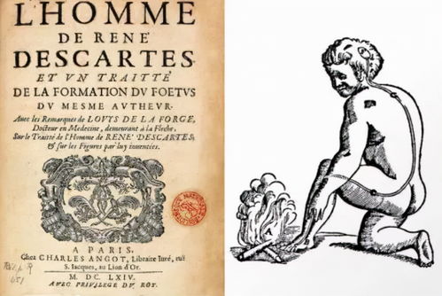 韦特塔罗牌大阿卡纳解析：韦特塔罗牌大阿卡纳，解读宇宙的星图与人生的密码