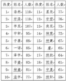 新生儿名字打分：新生儿名字打分，科学评估与智能工具的双重助力