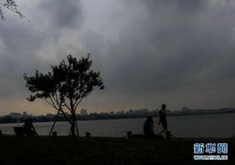 7月8日是什么日子?7月8日，国际海啸意识日与全球防灾警示