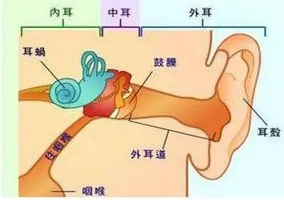 耳鸣测吉凶：耳鸣测吉凶，从传统命理到现代医学的探索与启示