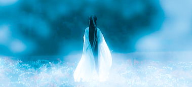 梦见白蛇是什么预兆 女性:梦见白蛇是什么预兆?女性视角下的梦境解析