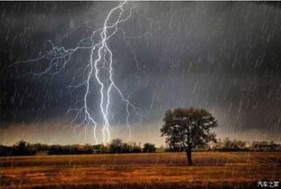 梦见被雷劈死预示什么：梦中雷电警示，被雷劈死的隐喻与现实启示