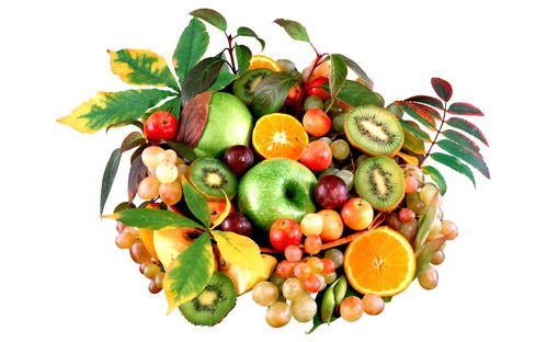 梦见水果树上结满了水果类:梦中的水果树,丰收与心灵的隐喻