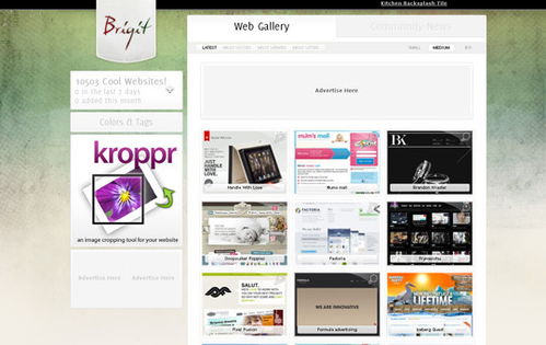 网页设计与制作作品:网页设计与制作的艺术,探索优秀作品与实现技巧 网页设计与制作作品:网页设计与制作的艺术,探索优秀作品与实现技巧