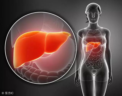 胆囊炎不能吃的9种食物:胆囊炎患者必看,这9种食物绝对不能吃! 胆囊炎不能吃的9种食物:胆囊炎患者必看,这9种食物绝对不能吃!