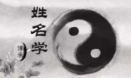 五行缺水不是一般人:五行缺水者天命之相,解码水元素缺失的隐藏密码与破局之道 五行缺水不是一般人:五行缺水者天命之相,解码水元素缺失的隐藏密码与破局之道