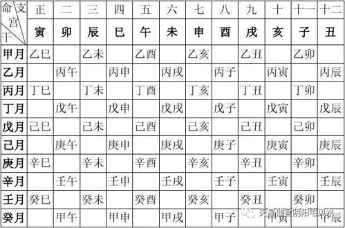 八字排盘表：八字排盘表，解码生辰密码，解锁个人命理的时空坐标