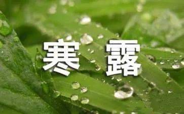 小暑节气相关谚语：小暑农谚里的智慧密码，读懂节气谚语，解锁三夏生产新技巧