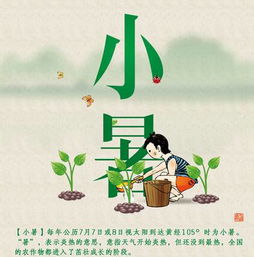 小暑节气相关谚语：小暑农谚里的智慧密码，读懂节气谚语，解锁三夏生产新技巧
