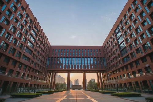 西北大学最好考研的专业（西北大学最好考研的专业有哪些）