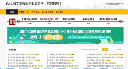大学生就业信息招聘网（大学生就业信息招聘网招聘简章）