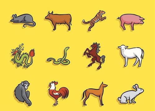 十二属相和年龄：十二属相与年龄，时间刻度下的文化密码