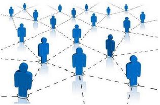 “双11”收官:效率与竞争边界重构