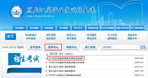 黑龙江省招生考试信息港（黑龙江省招生考试信息港查询成绩）