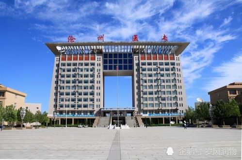 邢台职业技术学院是本科还是专科（邢台职业技术学院是大专吗）