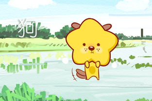 2019年属狗人的全年运势:2019年属狗人运势全解析,事业运跃升 财运稳中求进 2019年属狗人的全年运势:2019年属狗人运势全解析,事业运跃升 财运稳中求进