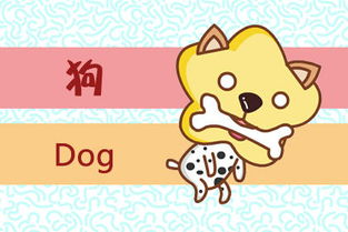 2019年属狗人的全年运势：2019年属狗人运势全解析，事业运跃升 财运稳中求进