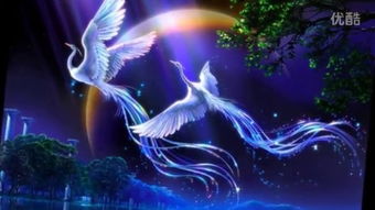 十二星座化身神兽：星宿为骨，神兽为魂，十二星座的千年契约与天地共生