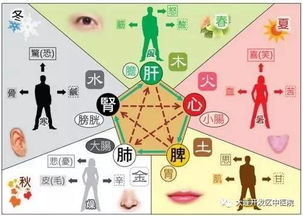 五行补金最强的方法：五行补金，三步激活身体能量，打造健康金体质